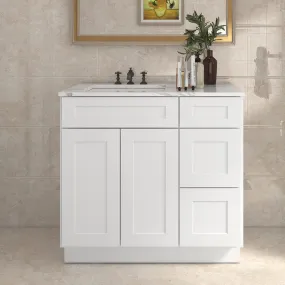 21"Dx36"Wx34-1/2"H Birch Solid Wood Bath Vanity Cabinet without Top V3621DR