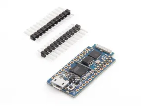 Cactus Micro Rev2 Arduino compatible plus esp8266