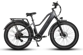 Dirwin 750W Pioneer Step-Thru Fat Tire Electric Bike