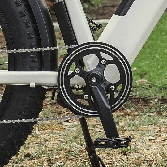 Dirwin 750W Pioneer Step-Thru Fat Tire Electric Bike