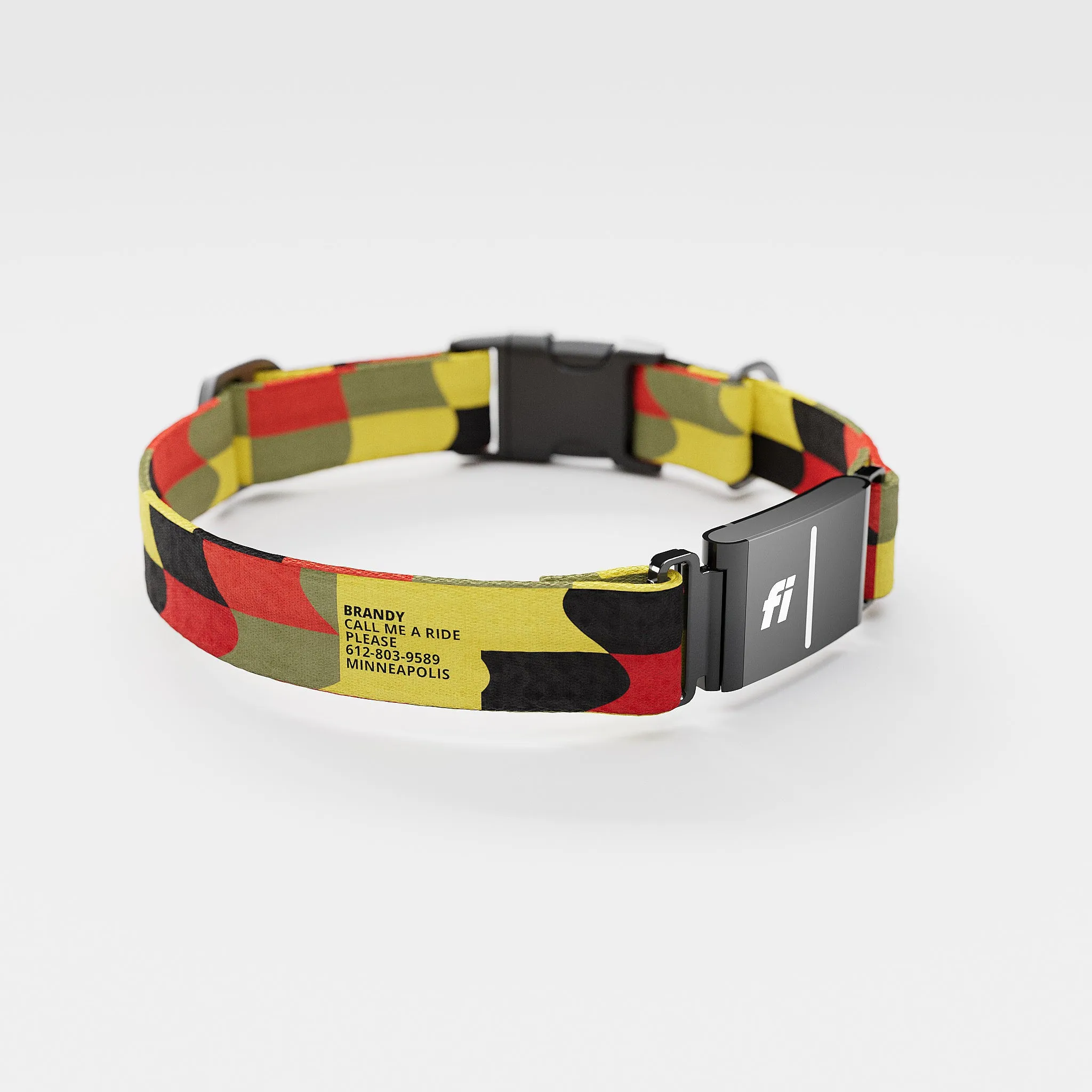 Fi GPS Included Flag Pirate Everyday Collar (6 month subscription)