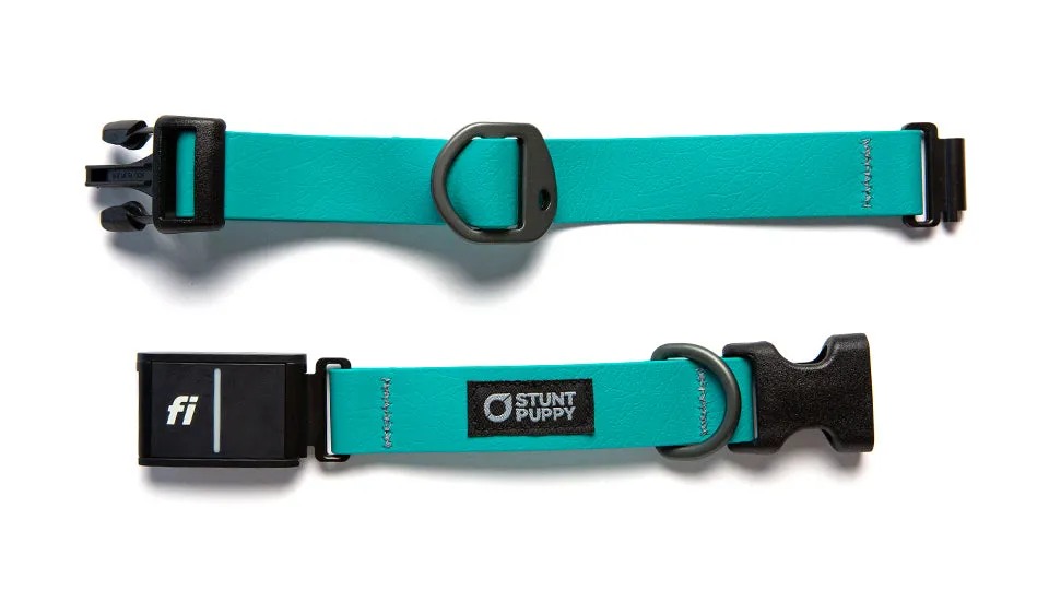 Fi GPS Included Teal Dry Collar™ (6 month subscription)