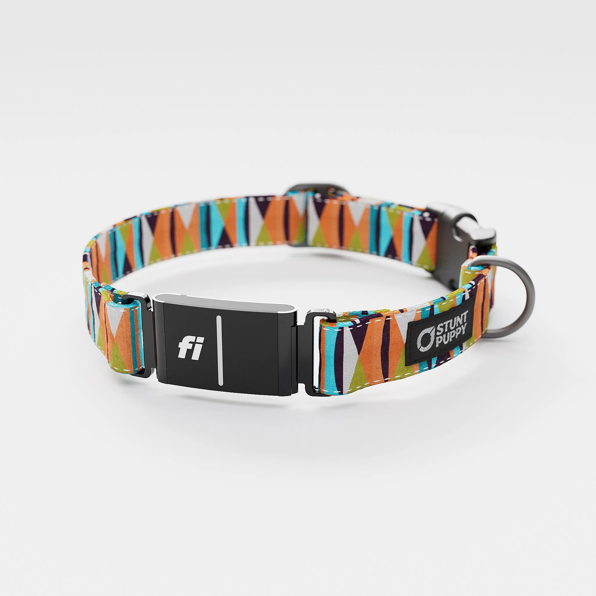 Fi GPS Included Zebras Hot Blue Everyday Collar (6 month subscription)