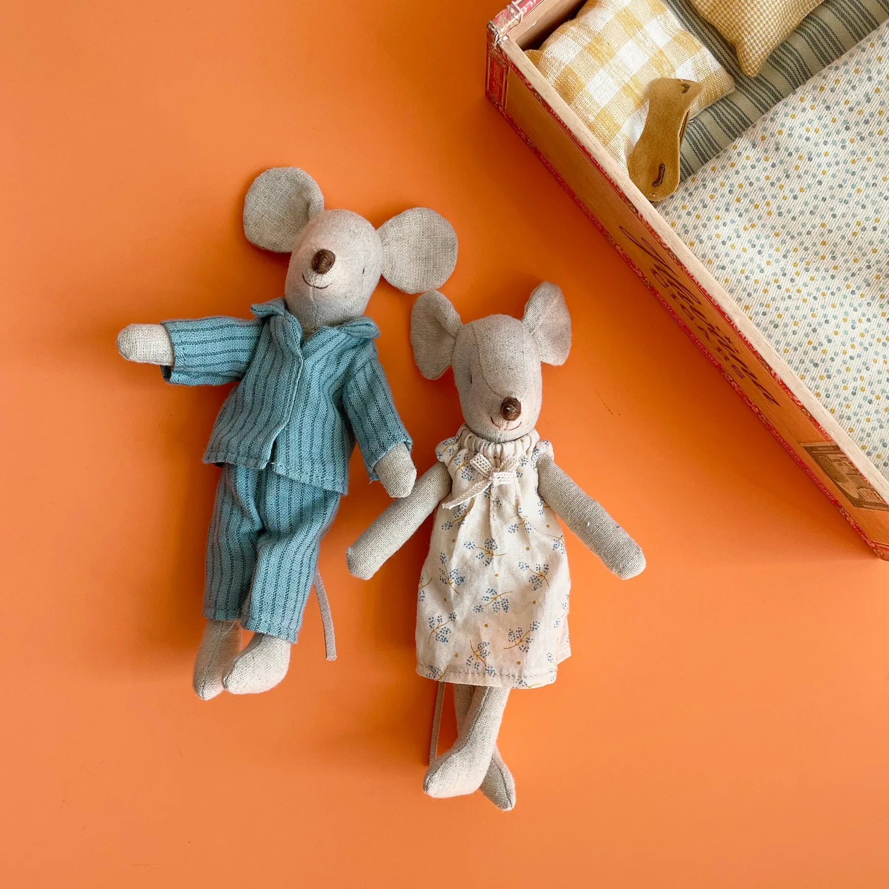 Mum   Dad Mice in a Cigar Box