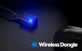 Pulsar 4K Hz Reciever Dongle