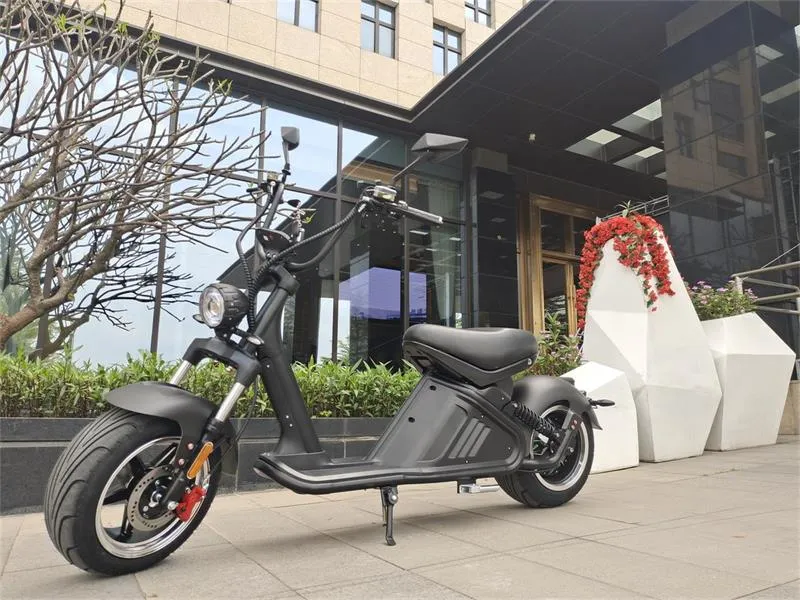 SoverSky M2 60V/40Ah 3000W Electric Scooter